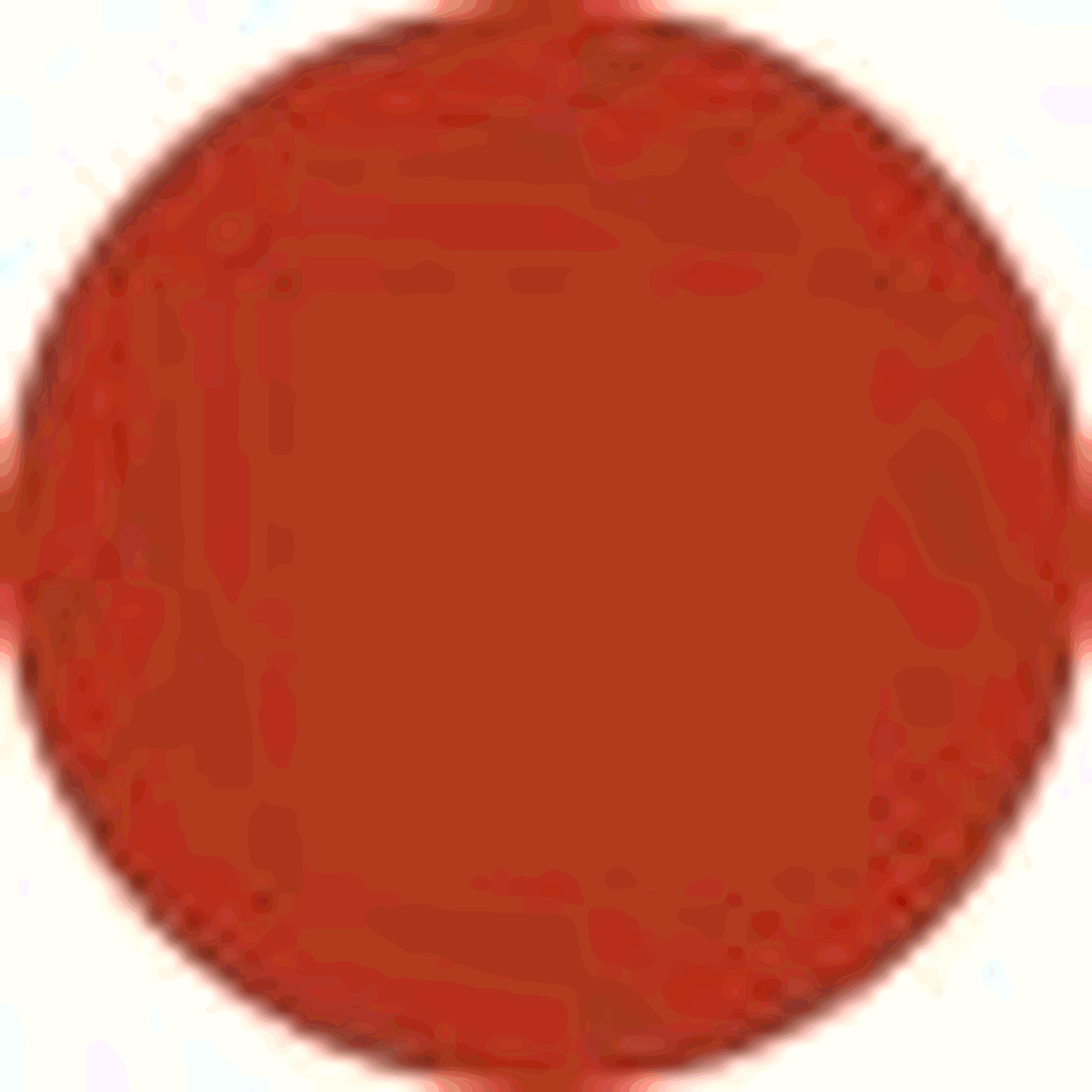 Labial Líquido Matte Warm Brick 219