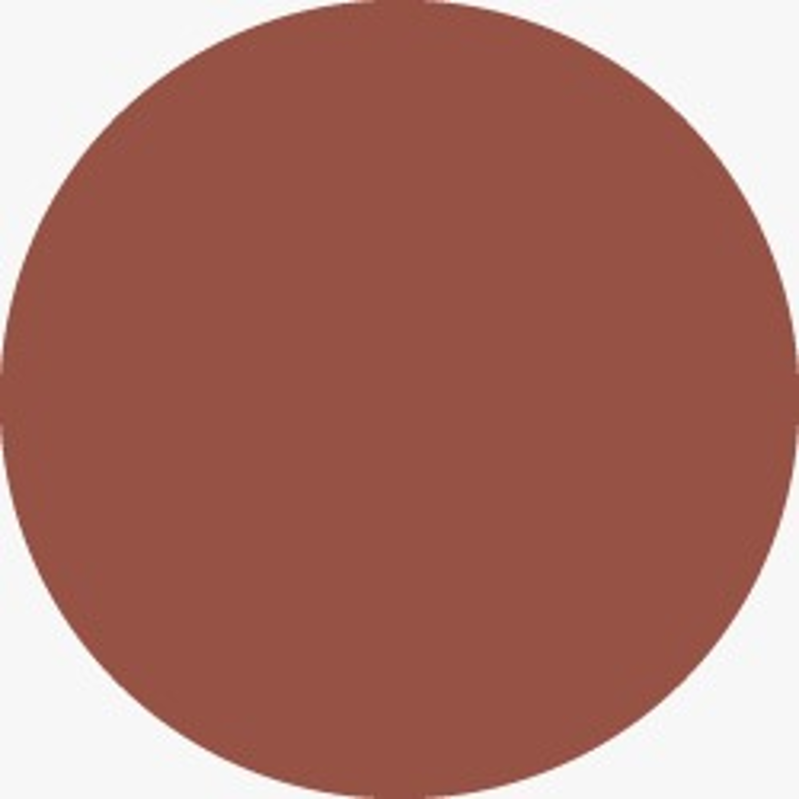 MATTE LIQUID LIPSTICK TERRA 4ML - Imagen 2